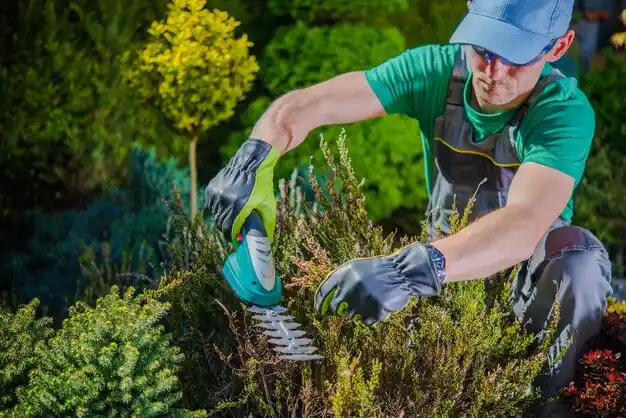 landscaping services Zena